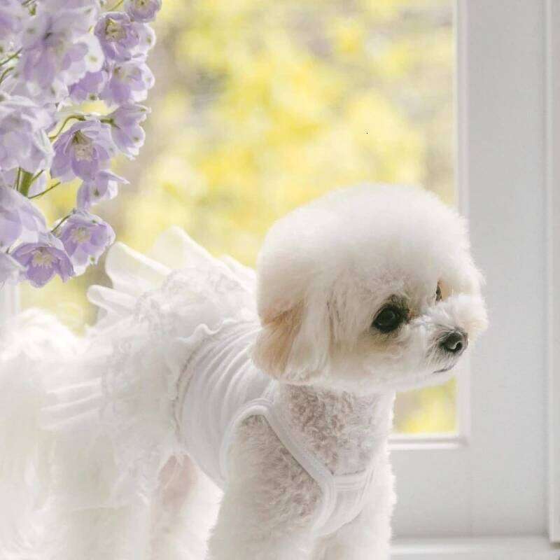Princess Small Thin Dress Pet Summer Halter Teddy Mesh Vest Bichon Solid Colour Skirt Fashionable Dog Clothes H260130