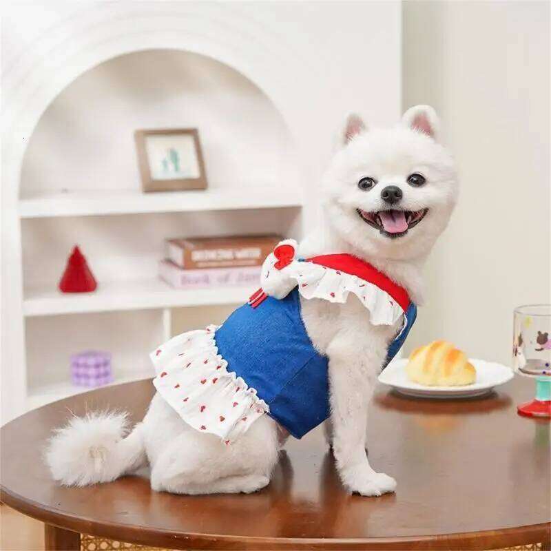 Lovely Puppy Princess T-shirt Dress Beach Strawberry Vest Outfit for Elegant Videos Pet Apparel H260129