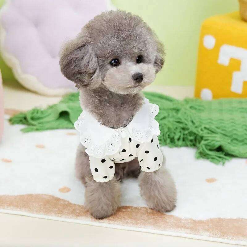 Fashion Thin Breathable Dog Vest Summer New Puppy Clothes Polka Dot Full Print Cute Teddy Cardigan Yorkshire Two Legs Clothing H260130