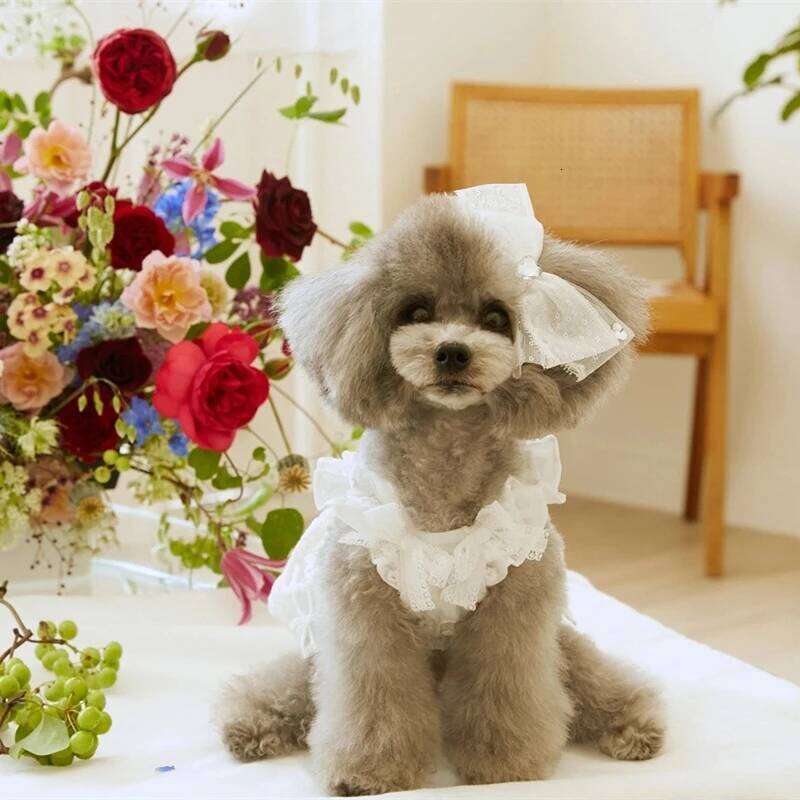 2025 New Pet Summer Puppy Lace Flying Sleeve Princess Teddy Dog Cat Designer Beautiful Thin Dress And Headpiece H260129