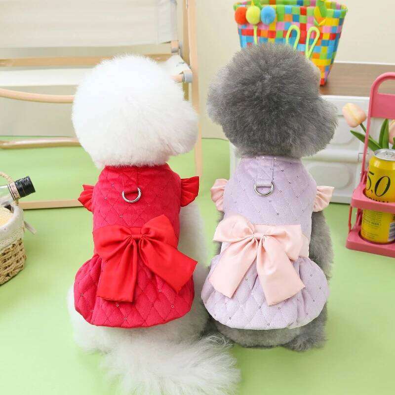 Autumn/Winter New Cute Cat Sweet Skirt Teddy Bear Small Dog Cotton Clothes Chihuahua Pet Supplies H260129