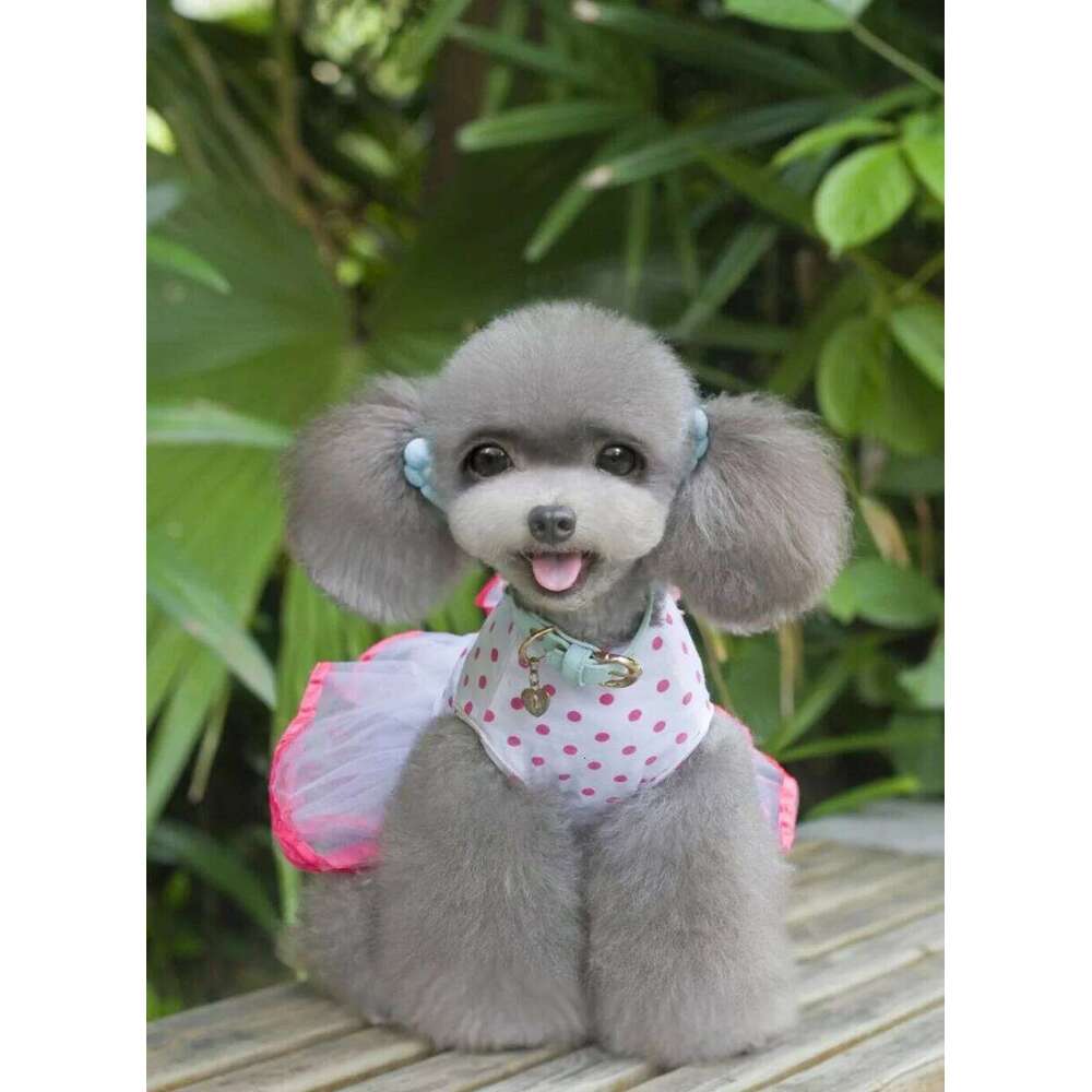 Summer Dog Dress for Small Dogs, Skirt Pet Princess Clothing, Dot Wedding Coat H260130