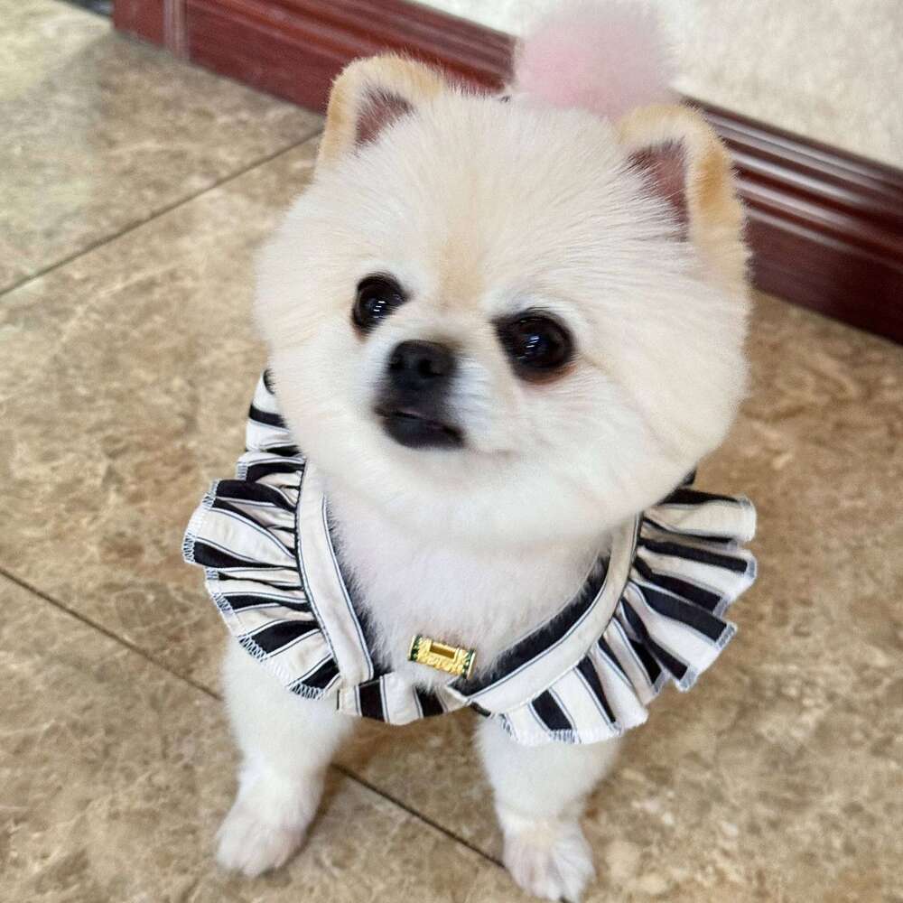 Korean Version of the Pet Dress Summer Teddy Hepburn Style Princess Skirt Classic Vertical Stripes Puppy Clothes H260129