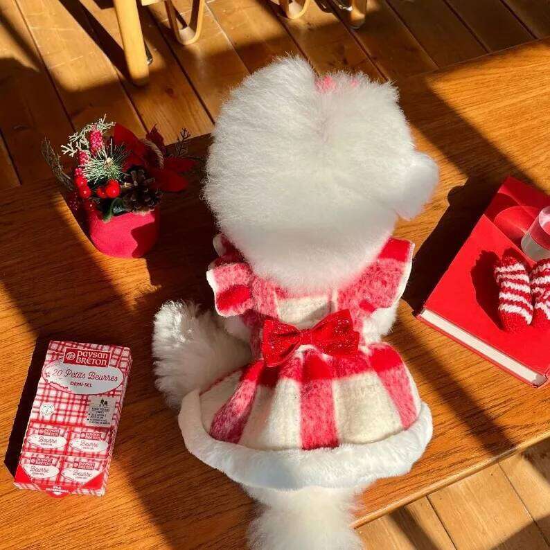 Pet Autumn and Winter Christmas Woolen Dress New Year Red Plaid Cat Coat Cloak Dog for Small Dogs Puppy Clothes H260130