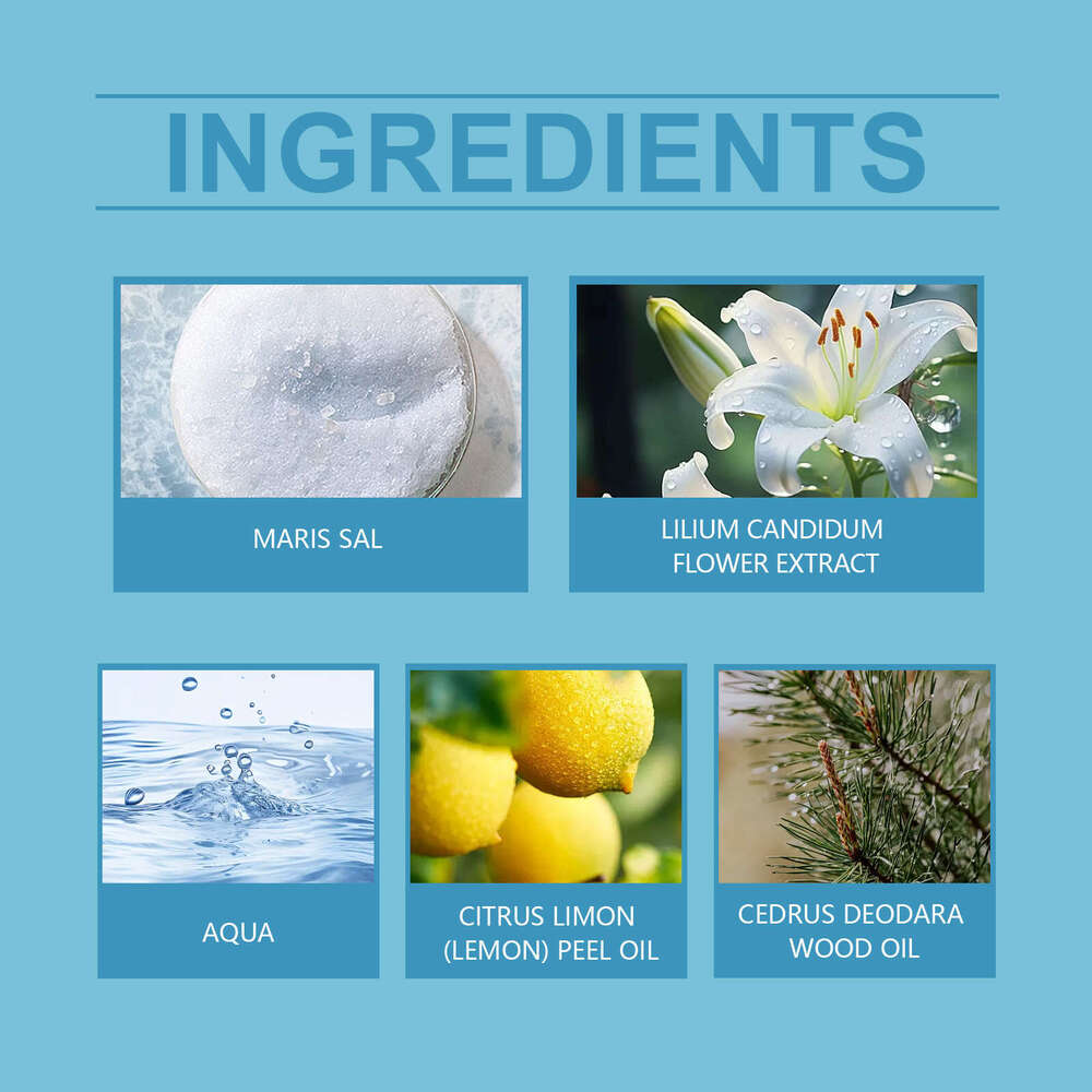 Roxelis Ocean Natural Fragrance Long-Lasting Scent Date Sea Breeze Fresh Roll-On Perfume S260131