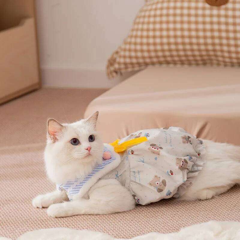 Winter Pumpkin Skirt for Puppies Winter-Warm Dog Down Jacket Teddy Bow Princess-Style Fleece-Lined Cotton Coat H260130