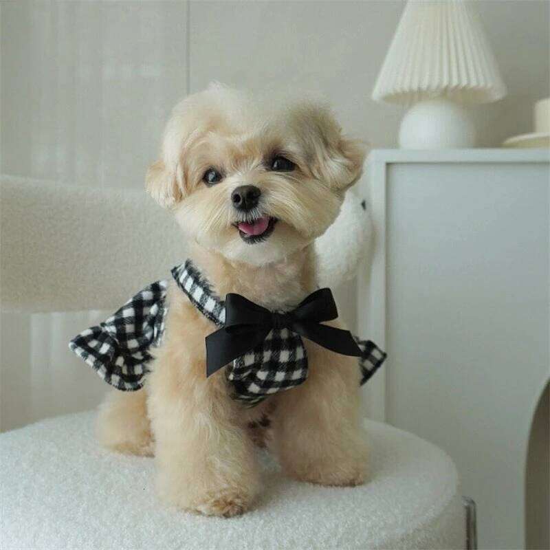 Pet Autumn/Winter Strap Skirt Cat Checkered Bow Vest Christmas Birthday Small and Medium Sized Dog Coat H260130