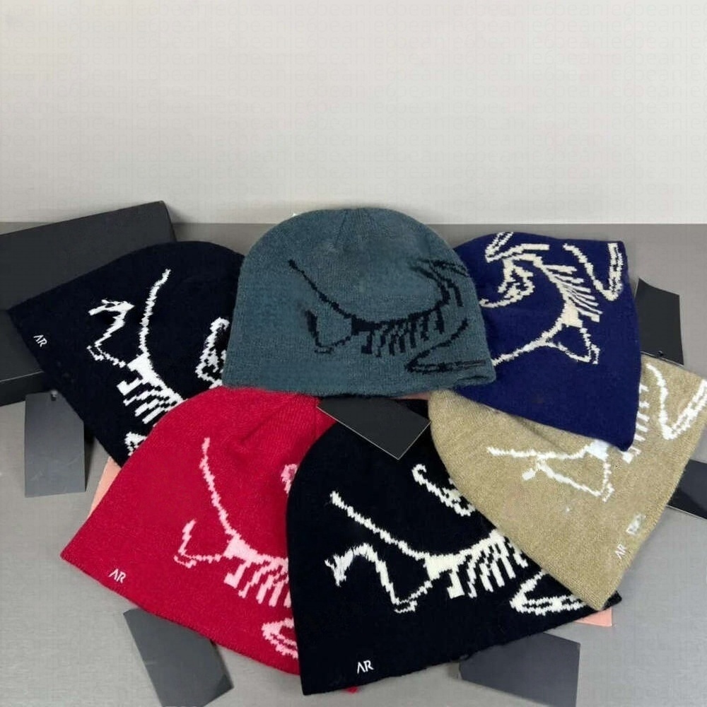 beanie designer wool hat luxury cashmere hat embroidered ancient bird pattern street fashion brand beanie autumn and winter warm ski hats