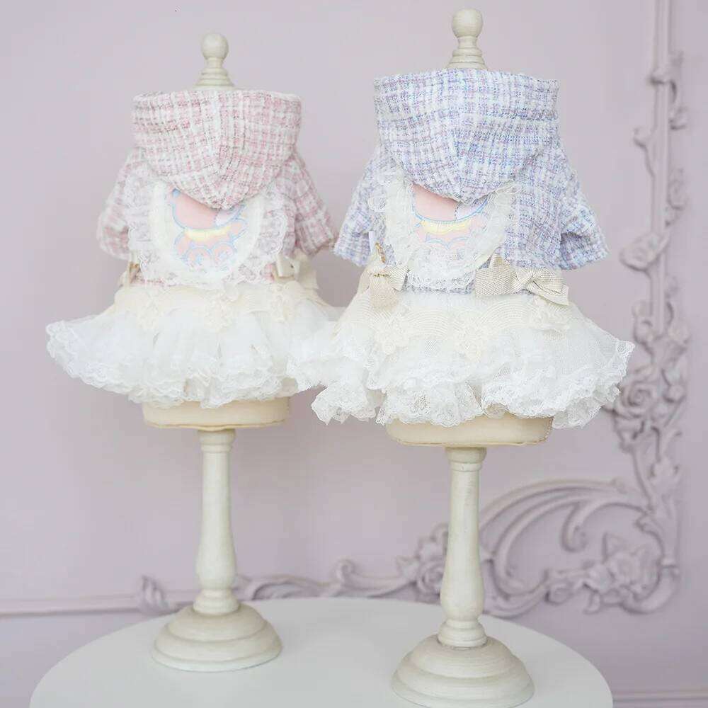 Pet Autumn Winter Woolen Patchwork Mesh Coat Princess Small Medium-sized Dog Wedding Dress Cat Cute Two Legged Outfit H260130