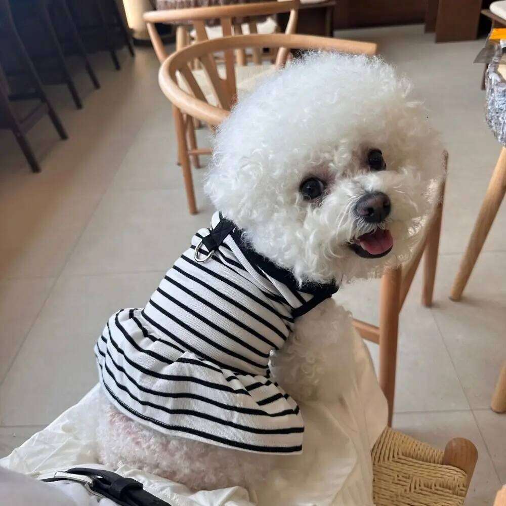 Couple Outfits Cute Dog Striped T-shirts Breathable Thin Design Pet Skirt Soft Cat Lapel Dresses Spring Summer H260129