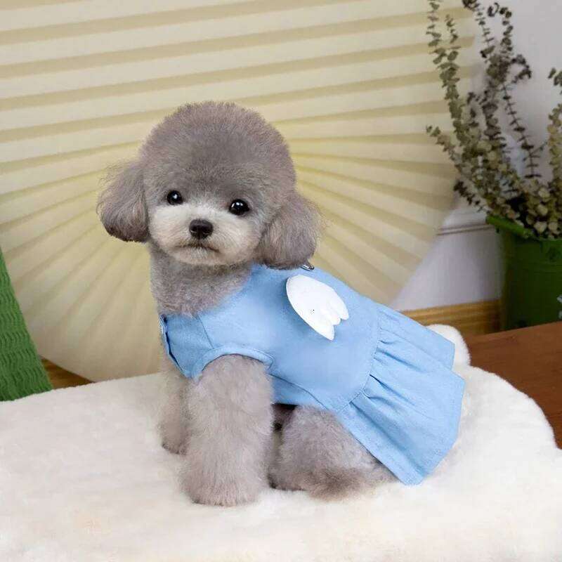 Pet Skirt Spring Summer Fashion and Cat Dresses Cute Puppy Denim Dog Clothes Chihuahua French Bulldog Yorkie H260129