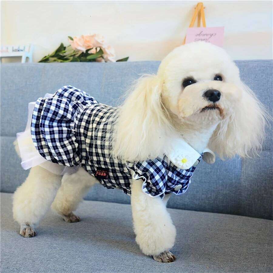 Dress for dogCute Pet Print Skirt Breathable Summer Comfortable Shirt For Puppy Halloween Costume Teacup Yorkie Girl H260130