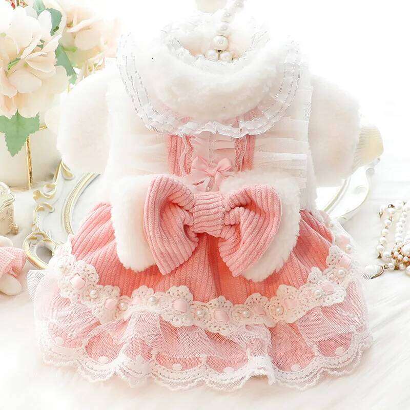 Clothes Autumn and Winter Thick Cat Princess Dress Bow Lace Small Dog Teddy Pet Supplies H260129