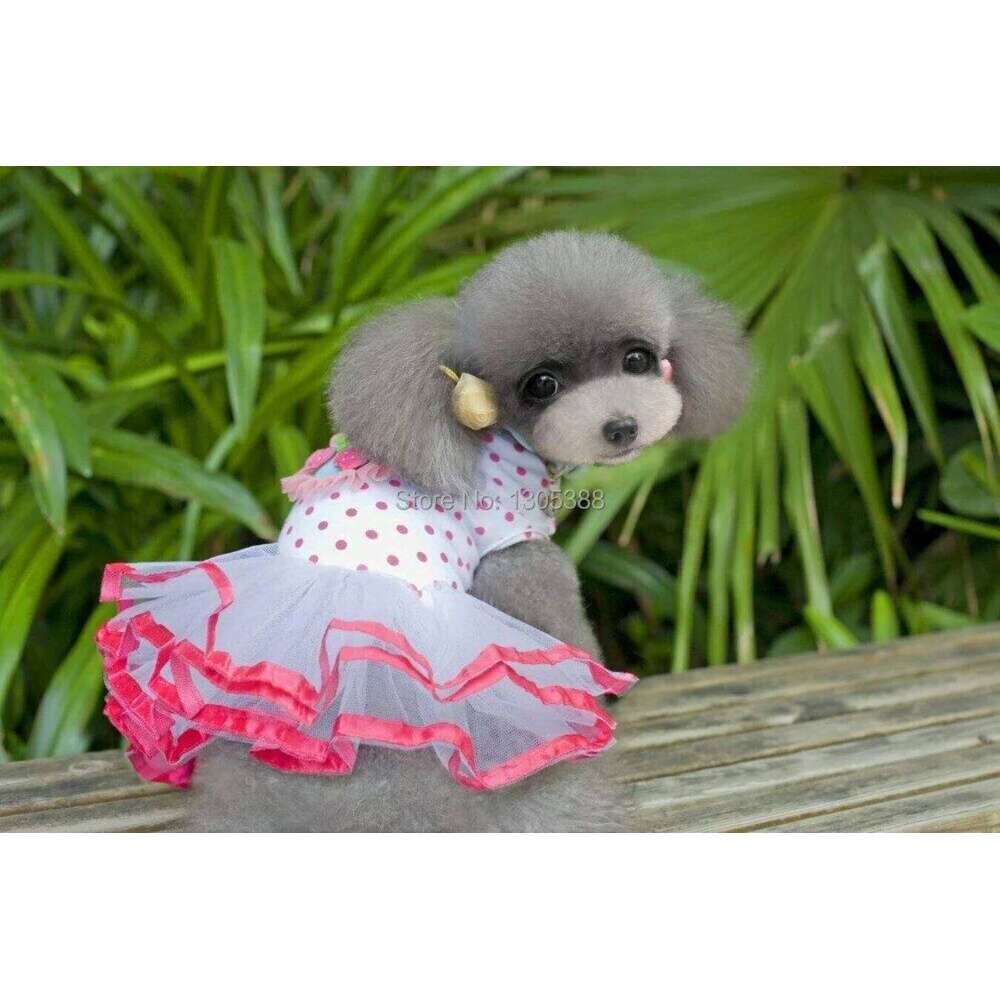 Summer Dog Dress for Small Dogs, Skirt Pet Princess Clothing, Dot Wedding Coat H260130
