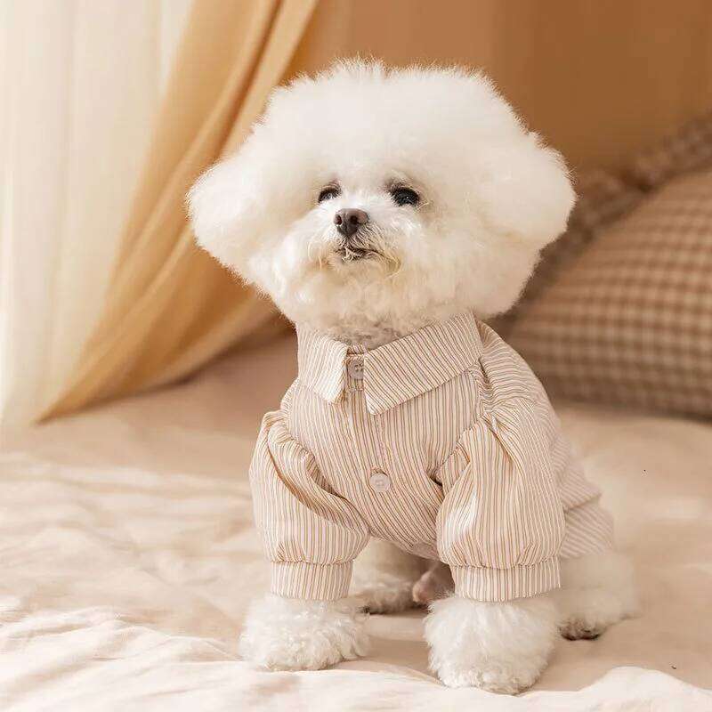 Bichon Frise Striped Two-legged Winter Teddy Dress Small and Medium-sized Warm Couple Clothes Female Dog Skirt H260130