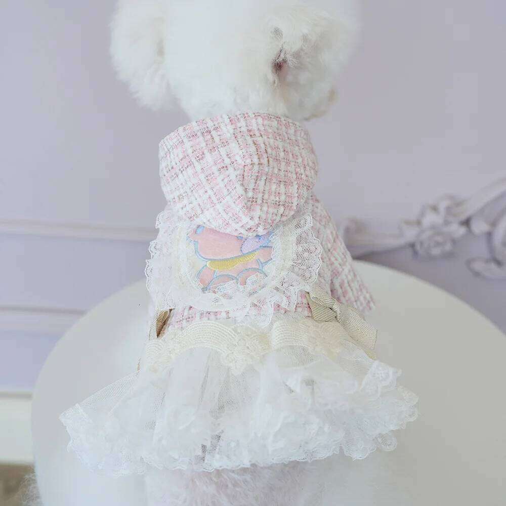 Pet Autumn Winter Woolen Patchwork Mesh Coat Princess Small Medium-sized Dog Wedding Dress Cat Cute Two Legged Outfit H260130