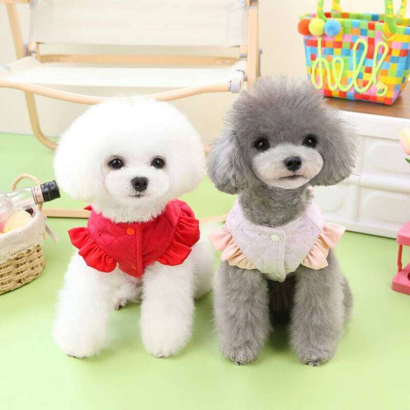 Autumn/Winter New Cute Cat Sweet Skirt Teddy Bear Small Dog Cotton Clothes Chihuahua Pet Supplies H260129