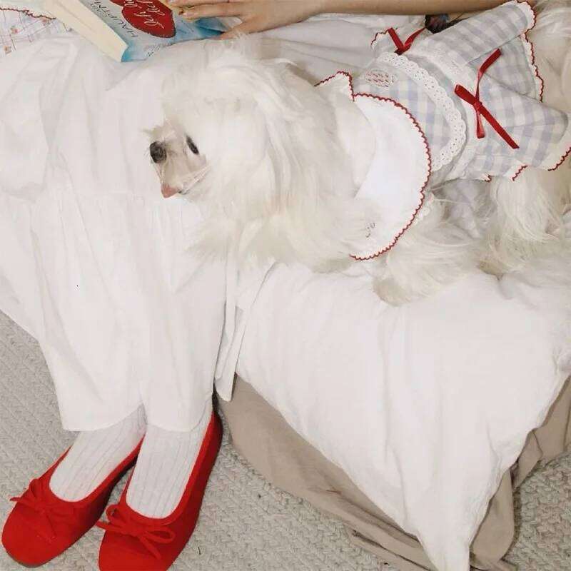 Cute Summer Bow Princess Dress Puppy Vest Thin Teddy Jumper Navy Dog Beautiful Sailor Suit Pet Opener Clothes H260130