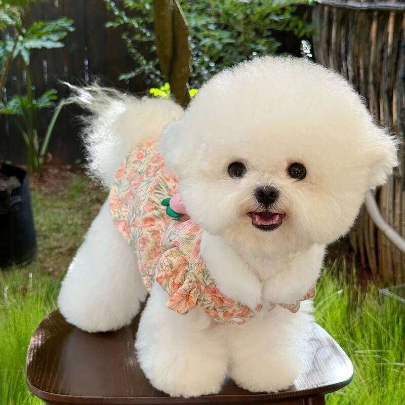 Flower Puppy Tulip Pet Clothes Teddy Dress Winter Warmth Skirt Thickened Dog Cotton Coat with Traction Buckle H260130