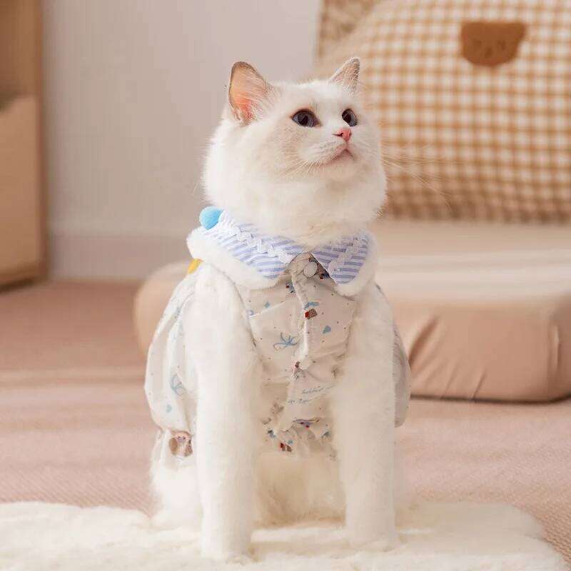 Winter Pumpkin Skirt for Puppies Winter-Warm Dog Down Jacket Teddy Bow Princess-Style Fleece-Lined Cotton Coat H260130