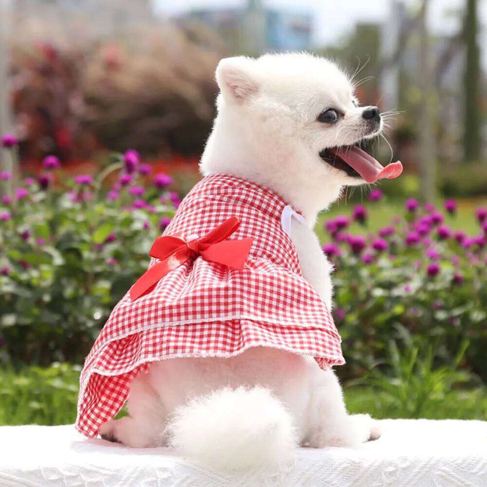 Dog Dresses Girl Puppy Dress Summer Pet Clothes Outfit Apparel Cute Cat Skirt Female Tutu Clothing for French Bulldog Chihuahua H260130