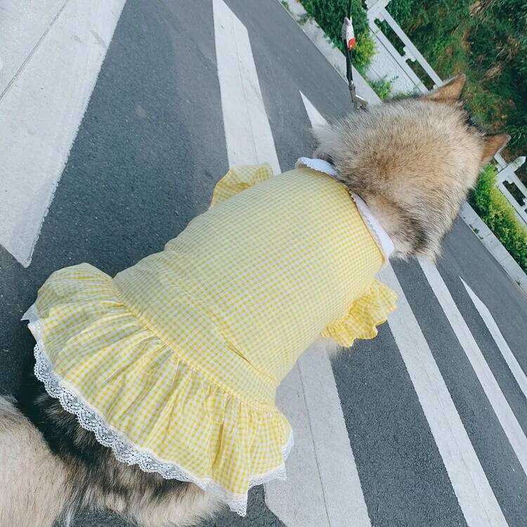 Spring Summer Pet Apparel Fairy Tale World Tucker Dress for Large Dog Golden Retriever Alaska Satsuma H260129