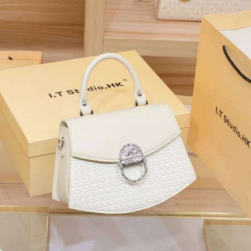 Women's 2024 new autumn and winter brand shoulder crossbody bag, high-end texture, light luxury designer handbag