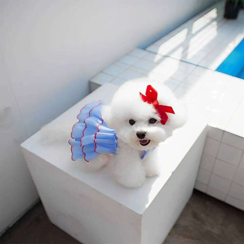 Stylish Thin Pet Princess Dress Lightweight Small Dogs Cats Dog Cat Clothes Breathable Outfit for Teddy, Bichon, French Bulldog H260130