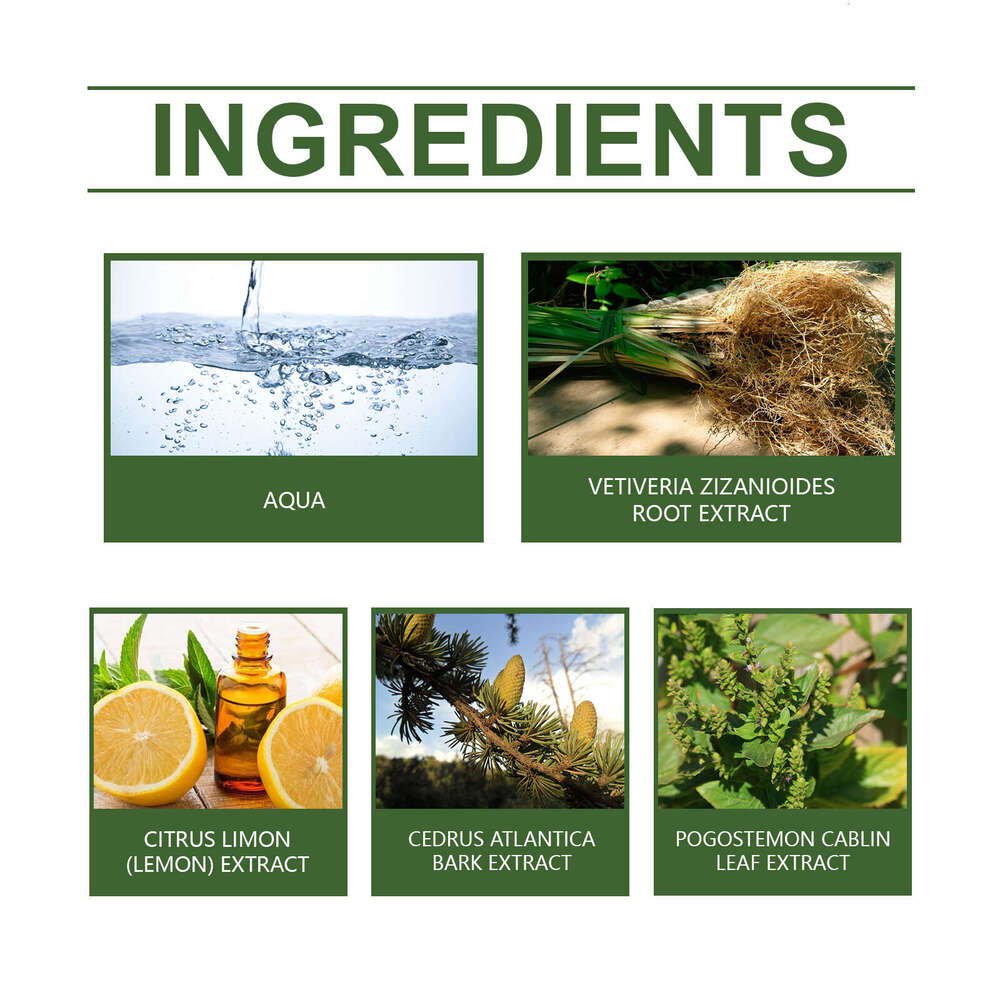 Roxelis Vetiver Exudes Charming Charm Natural Fresh Elegance Long-lasting Daily Portable Fragrance Perfume S260131