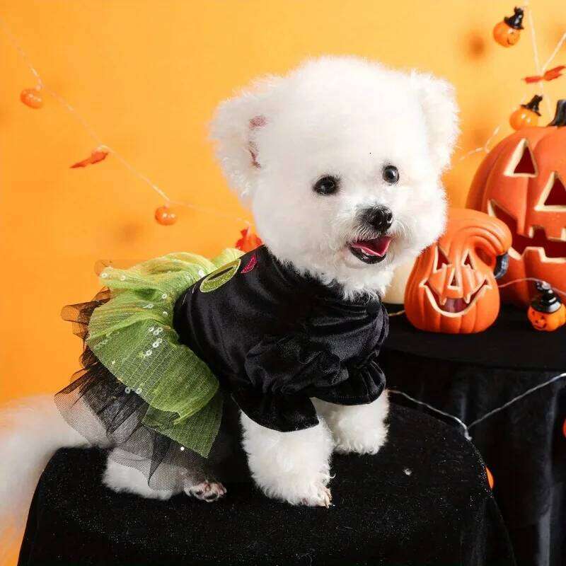 Cute Halloween Gauze Pet Clothes Dog Cat Black Thickened Thermal Funny Green Splicing Open Button Dress H260130