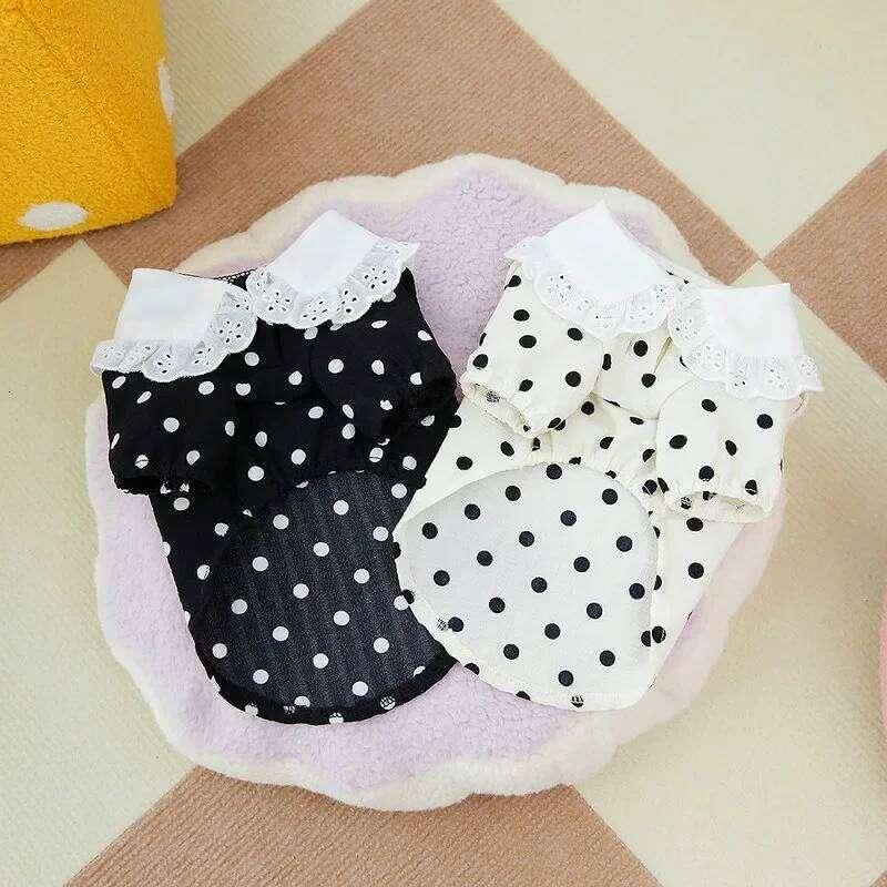 Fashion Thin Breathable Dog Vest Summer New Puppy Clothes Polka Dot Full Print Cute Teddy Cardigan Yorkshire Two Legs Clothing H260130