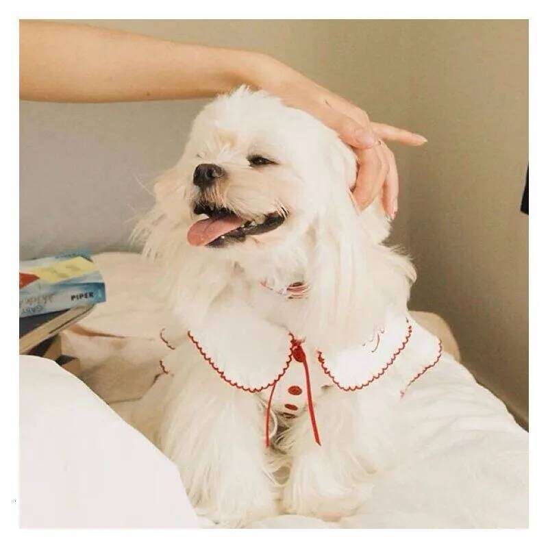 Cute Summer Bow Princess Dress Puppy Vest Thin Teddy Jumper Navy Dog Beautiful Sailor Suit Pet Opener Clothes H260130