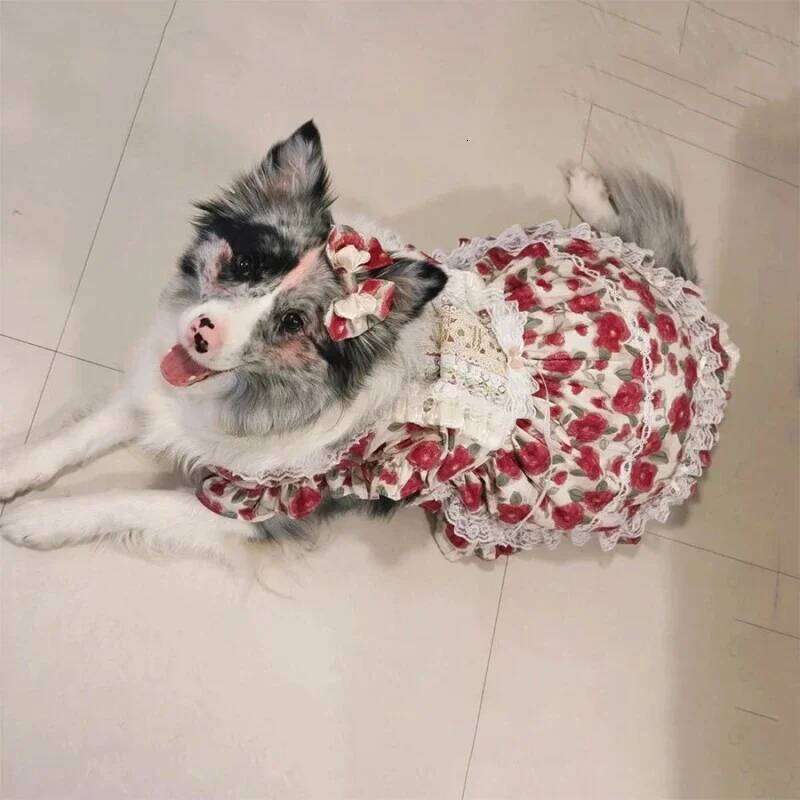 Large Pet Dress Tutu Summer Big Dog Clothing Corgi Shiba Inu Border Collie Samoyed Husky Labrador Golden Retriever Clothes H260129
