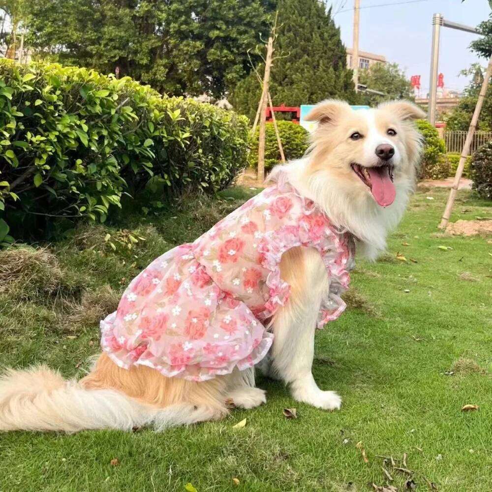 Large Dog Dresses,Lace Floral Design with Breatheable Innder Mesh,Stylish Skirts For Big Breeds,5XL dropshipping available H260129