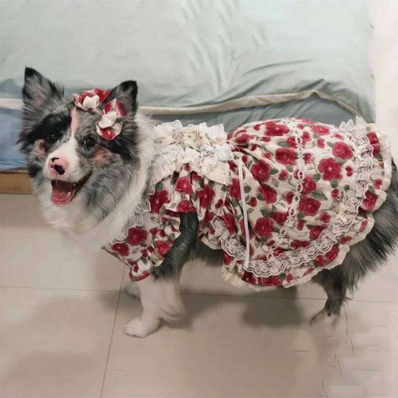 Large Pet Dress Tutu Summer Big Dog Clothing Corgi Shiba Inu Border Collie Samoyed Husky Labrador Golden Retriever Clothes H260129