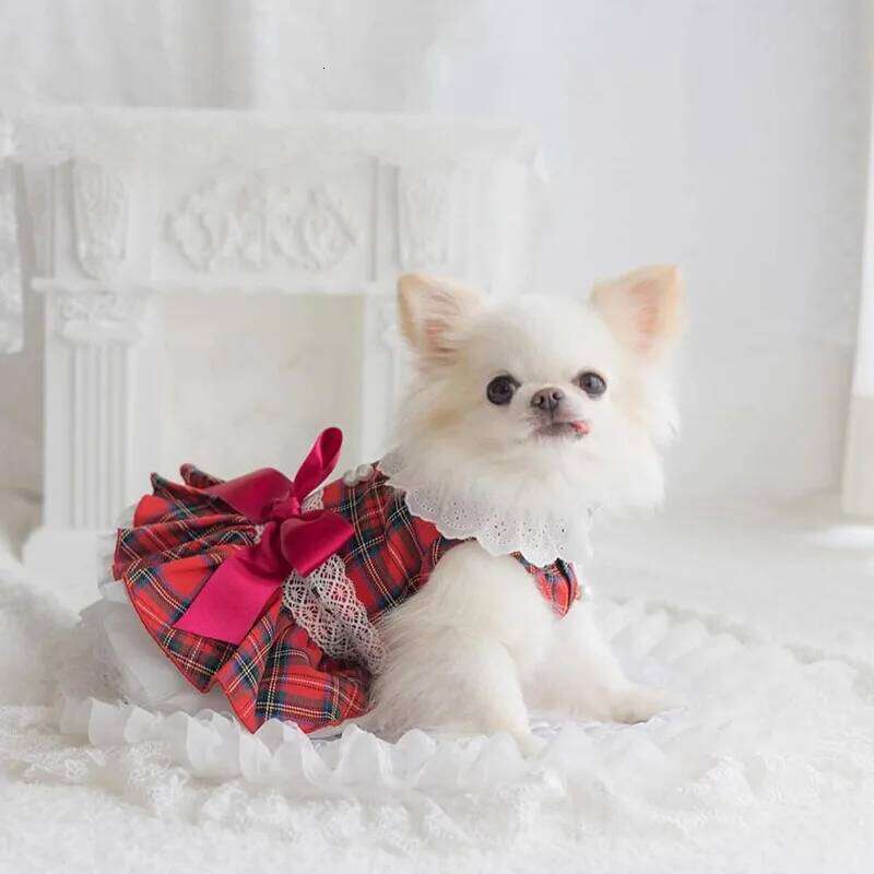 Plaid Fleece Dog Dress & Skirt Set - Winter Christmas Apparel with Adjustable Straps, Warm Lace Trim for Yorkie Chihuahua Puppy H260129