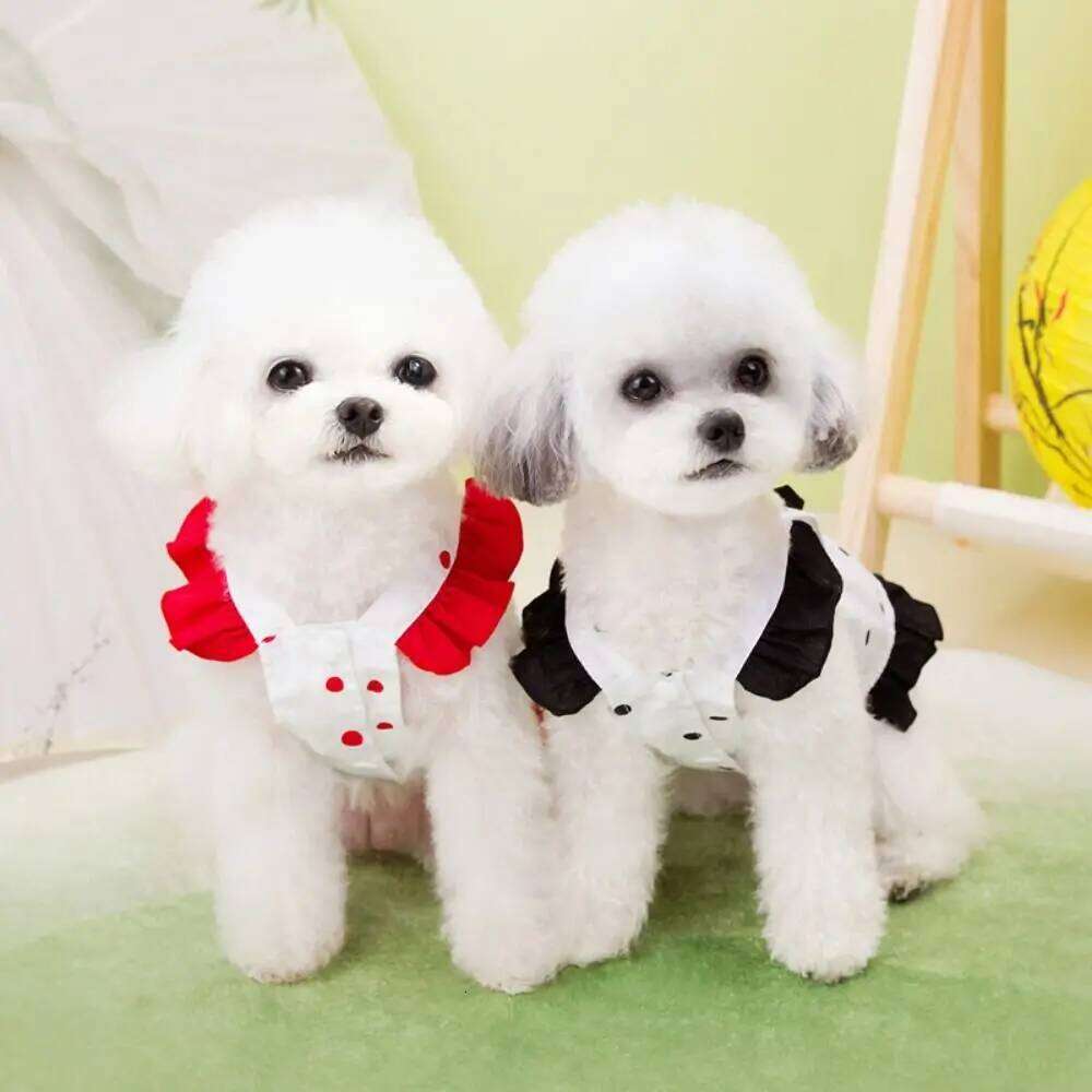 Comfortable Cute Dog Princess Dress Breathable Soft Skirt Thin Design Pet Clothes Spring Summer H260130