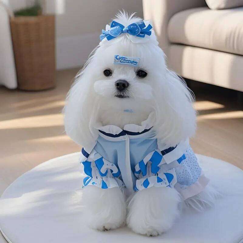 2025 Spring Summer Clothes Thin Puppy Dress Lolita Luxury Dog Clothing chihuahua Apparel Dresses Pet Costume for Small Dogs H260129