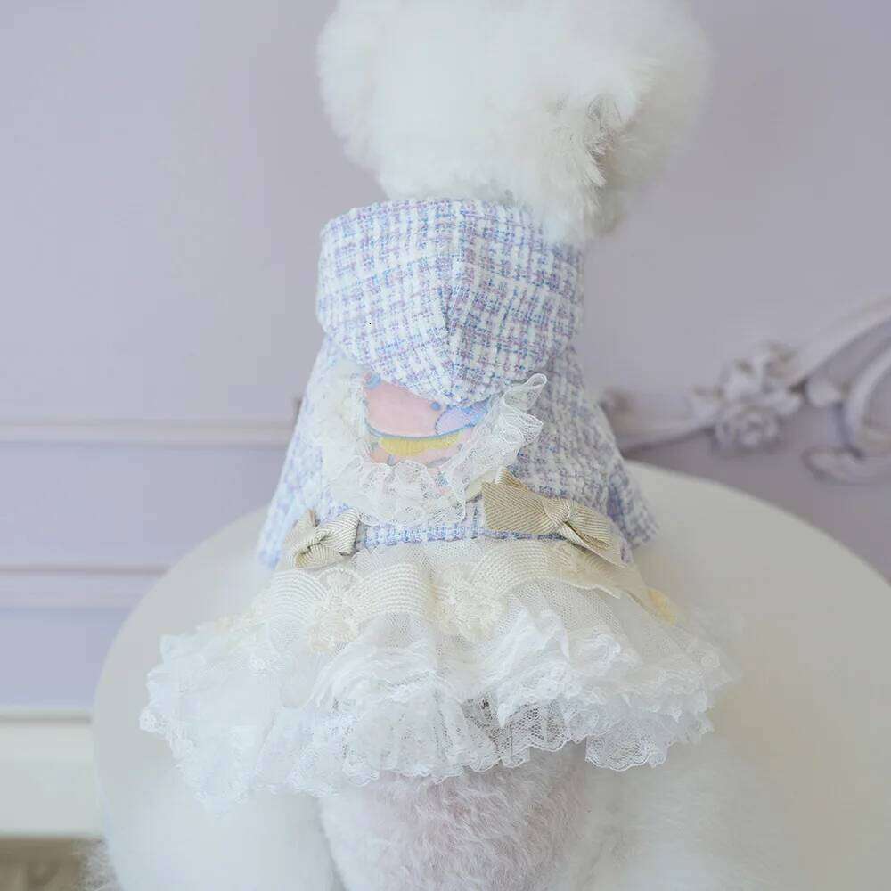 Pet Autumn Winter Woolen Patchwork Mesh Coat Princess Small Medium-sized Dog Wedding Dress Cat Cute Two Legged Outfit H260130