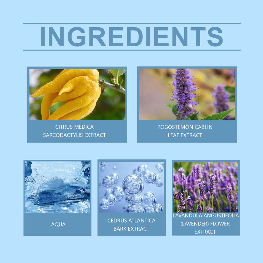 Roxelis Unique Bergamot Fresh Long-lasting Fragrance Release Men's Charm Couple Date Atmosphere Perfume S260131