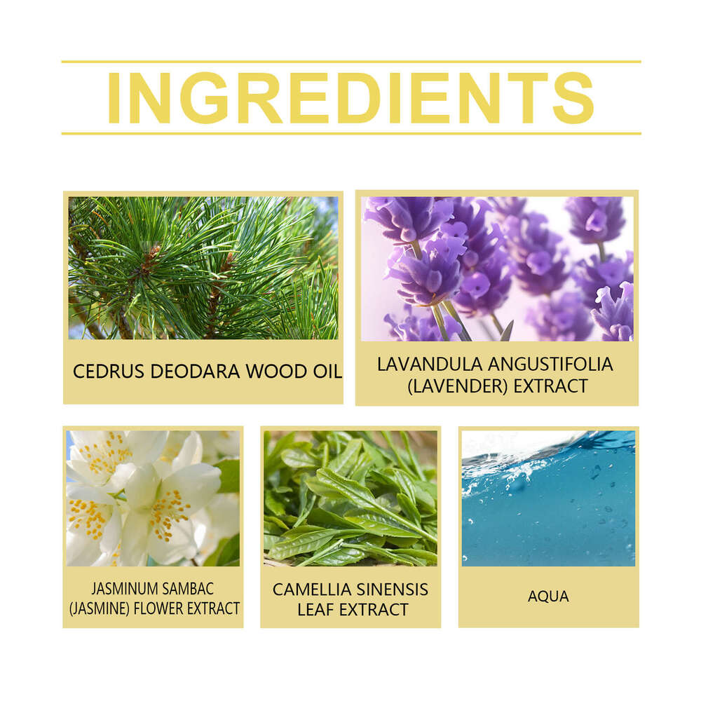 Roxelis Cedar Eau de Toilette Natural Woody Fragrance Fresh Light Floral Elegance Romantic Temperament Graceful Long-lasting Scent S260131