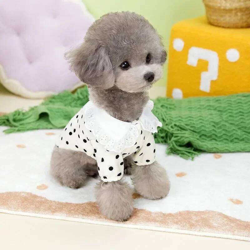 Fashion Thin Breathable Dog Vest Summer New Puppy Clothes Polka Dot Full Print Cute Teddy Cardigan Yorkshire Two Legs Clothing H260130