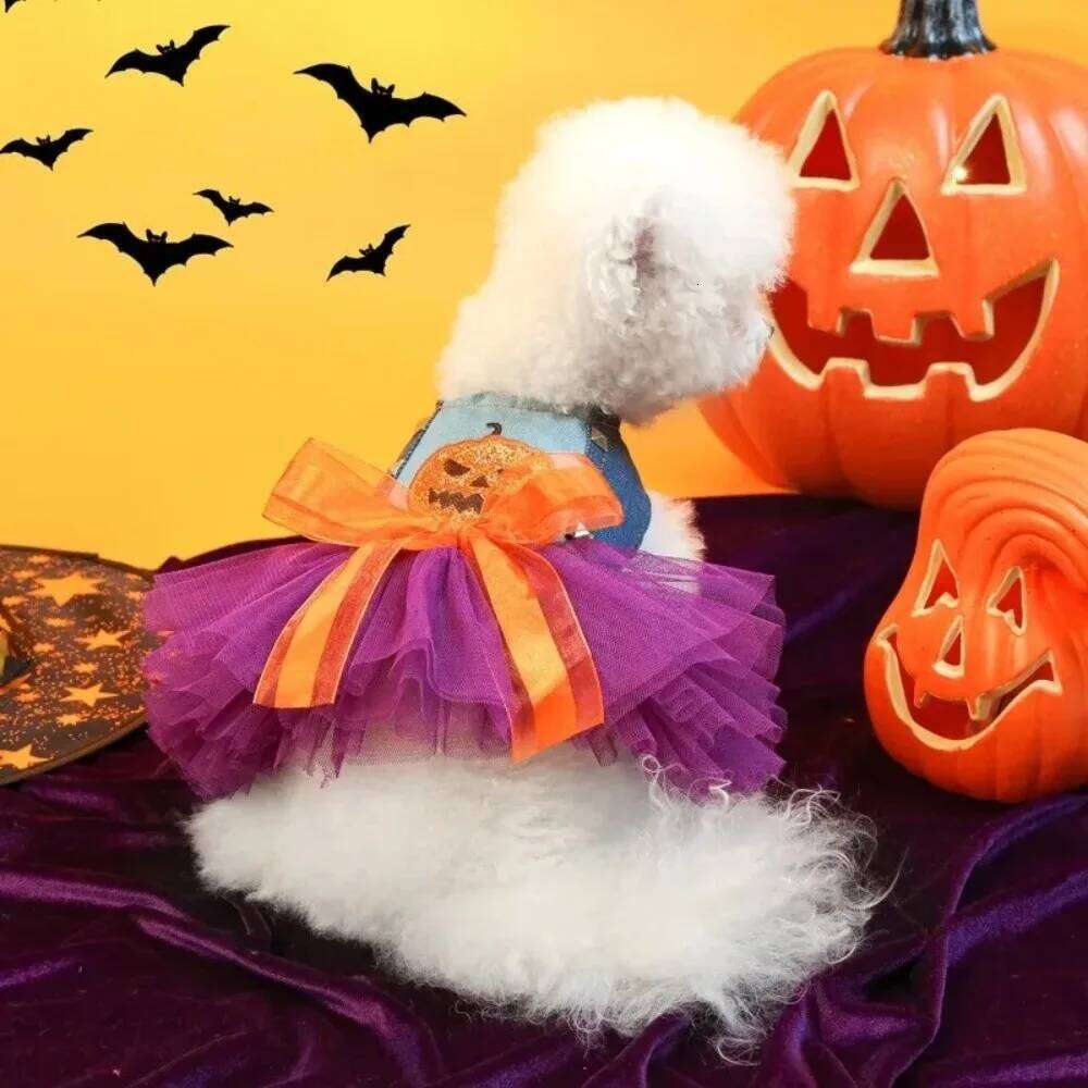 Pumpkin Halloween Dress Soft Adorable Lace Skirt Comfortable Chihuahua Size Small Dog Outfits Photograph Props H260130