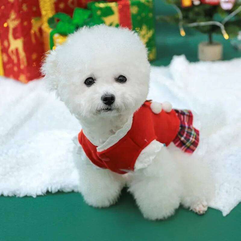 1PC Pet Christmas Style Dog Cat Clothes Gingerbread Man Red New Year Autumn Thickened Warm Sleeveless Dress H260129