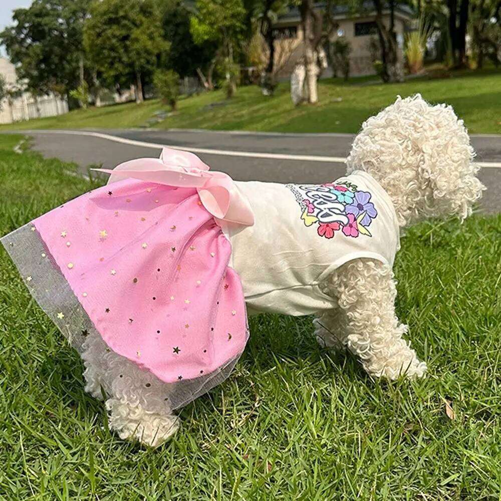 Fashion Sequin Dog Dress Breathable Mesh Pet Puppy Clothing Lightweight Cat Apparel Summer Season H260129