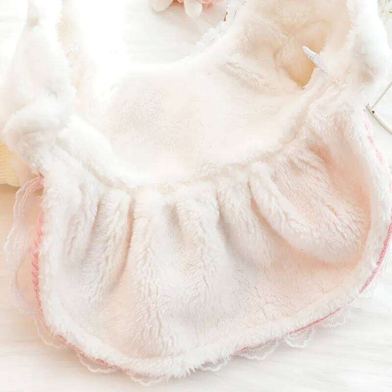 Clothes Autumn and Winter Thick Cat Princess Dress Bow Lace Small Dog Teddy Pet Supplies H260129