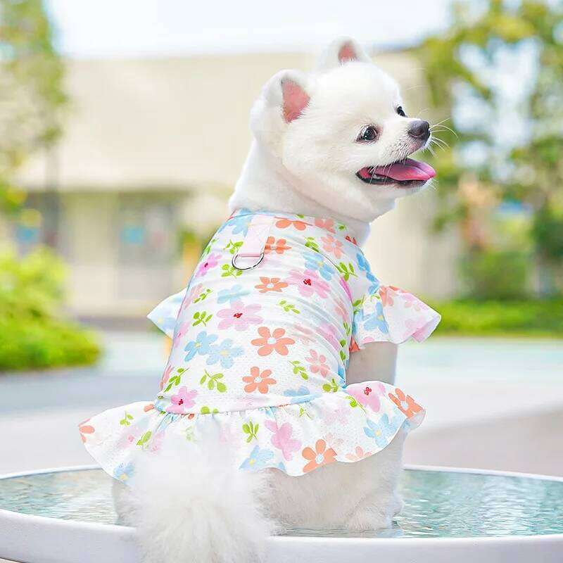 Sweet Ice Silk Dog Clothes Pet Summer Pullover Yorkshire Breathable Mesh Short Dress with Leash Buckle H260129