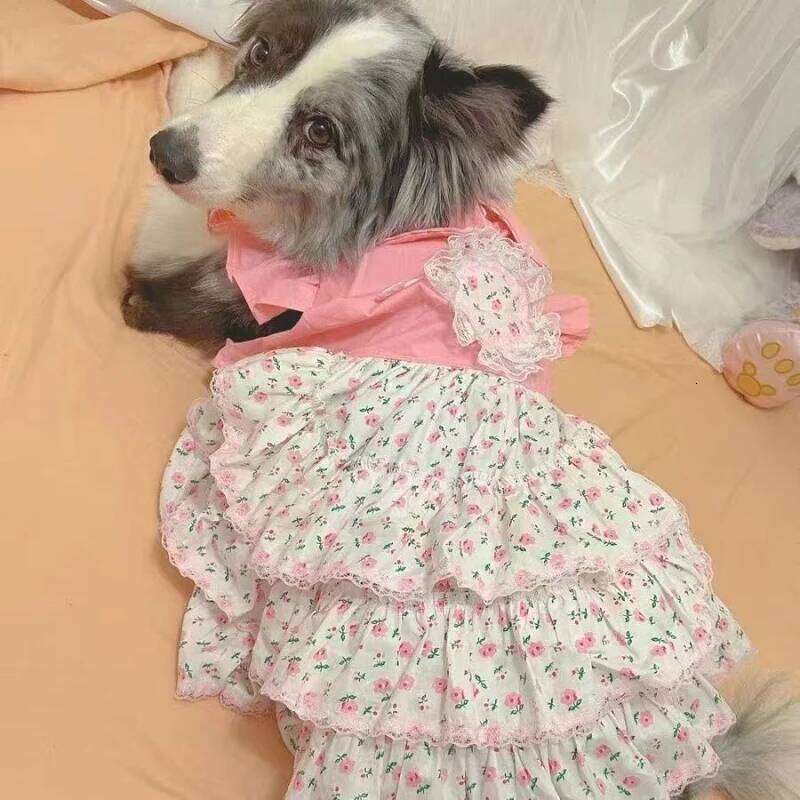 Summer Big Dog Clothes Large Pet Apparel Dress Corgi Shiba Inu Border Collie Samoyed Husky Labrador Golden Retriever Clothing H260129