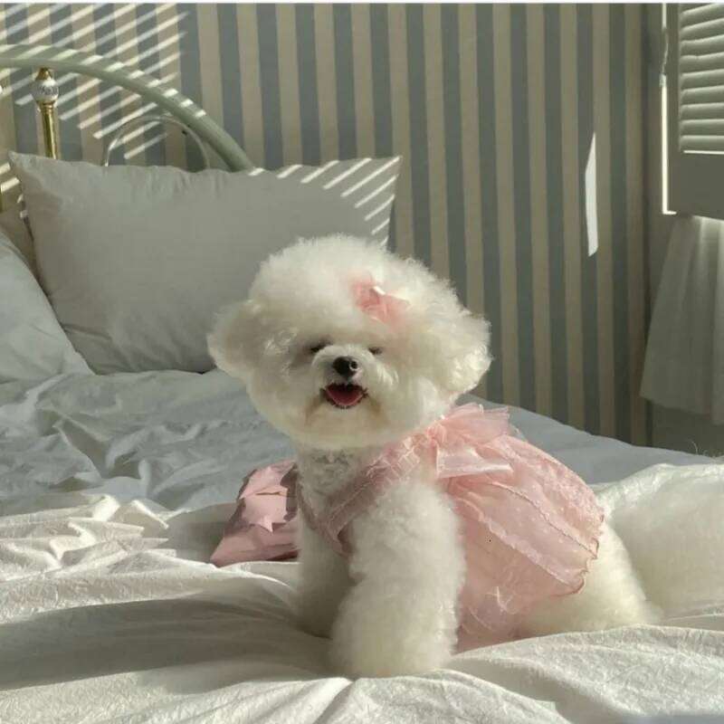 Dog Dresses for Small Dogs Wedding Dress Summer Mesh Strap ClothesThin Cat Princess Skirt Pet Puff SkirtTeddy H260130