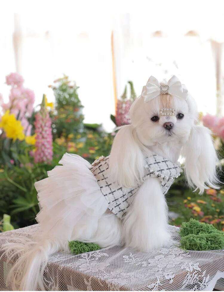 lace Pet formal dress Tulle Flared Tutu Skirt dog Birthday Party Dress & Holiday Gown pet clothes H260129